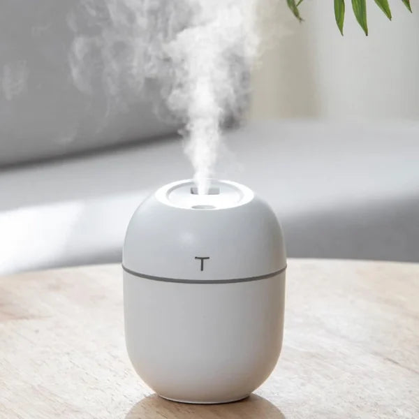 Air Humidifier
