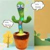 Dancing Cactus toy Rechargeable